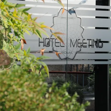 Meeting